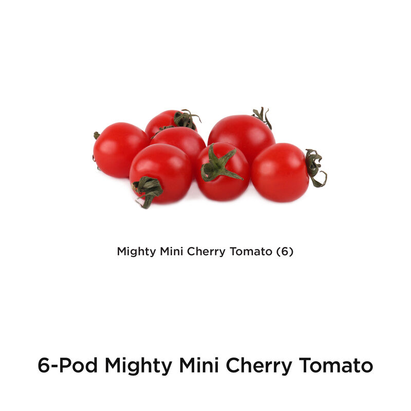 Mighty Mini Cherry Tomato Seed Pod Kit image number null